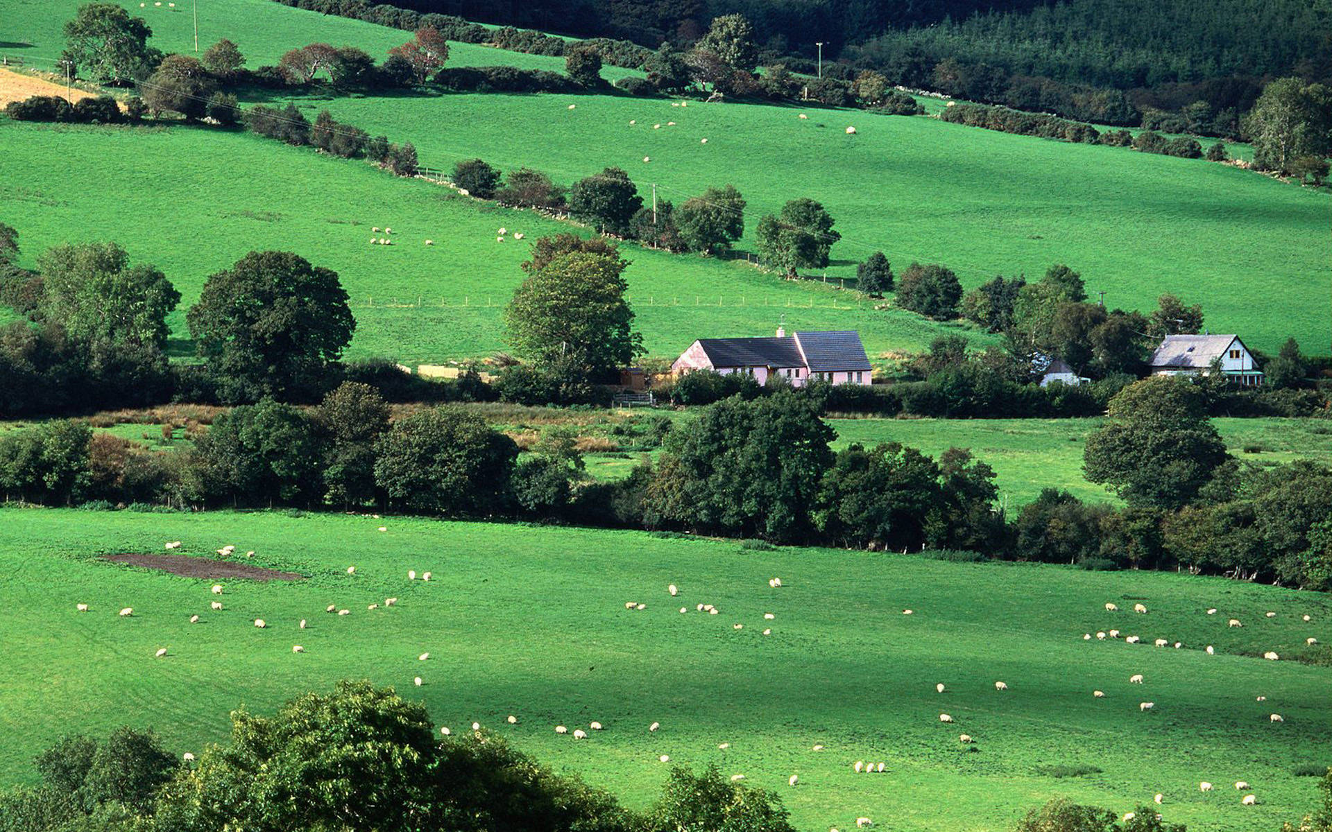 Irish Countryside Wallpapers