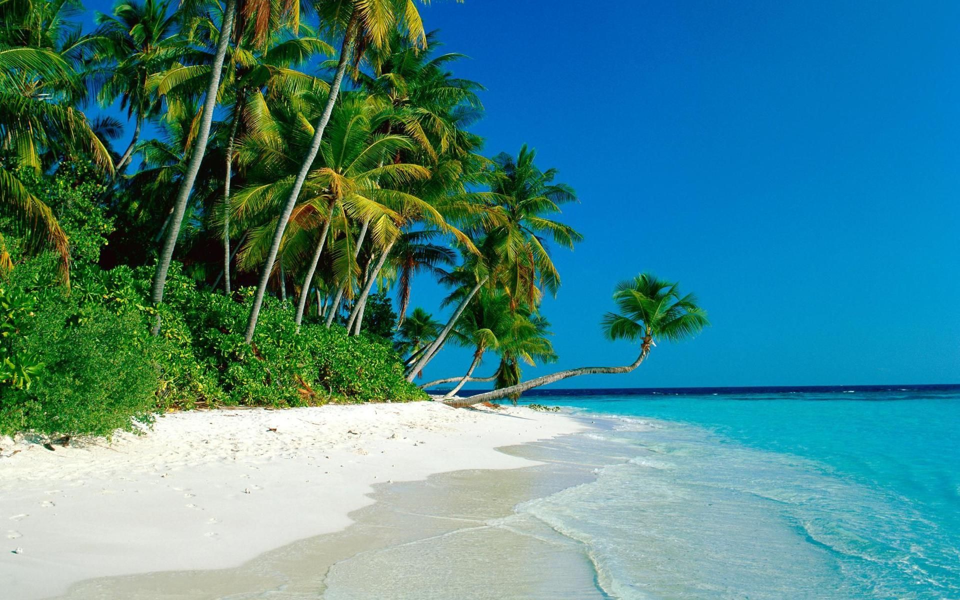 Island Beach Wallpapers