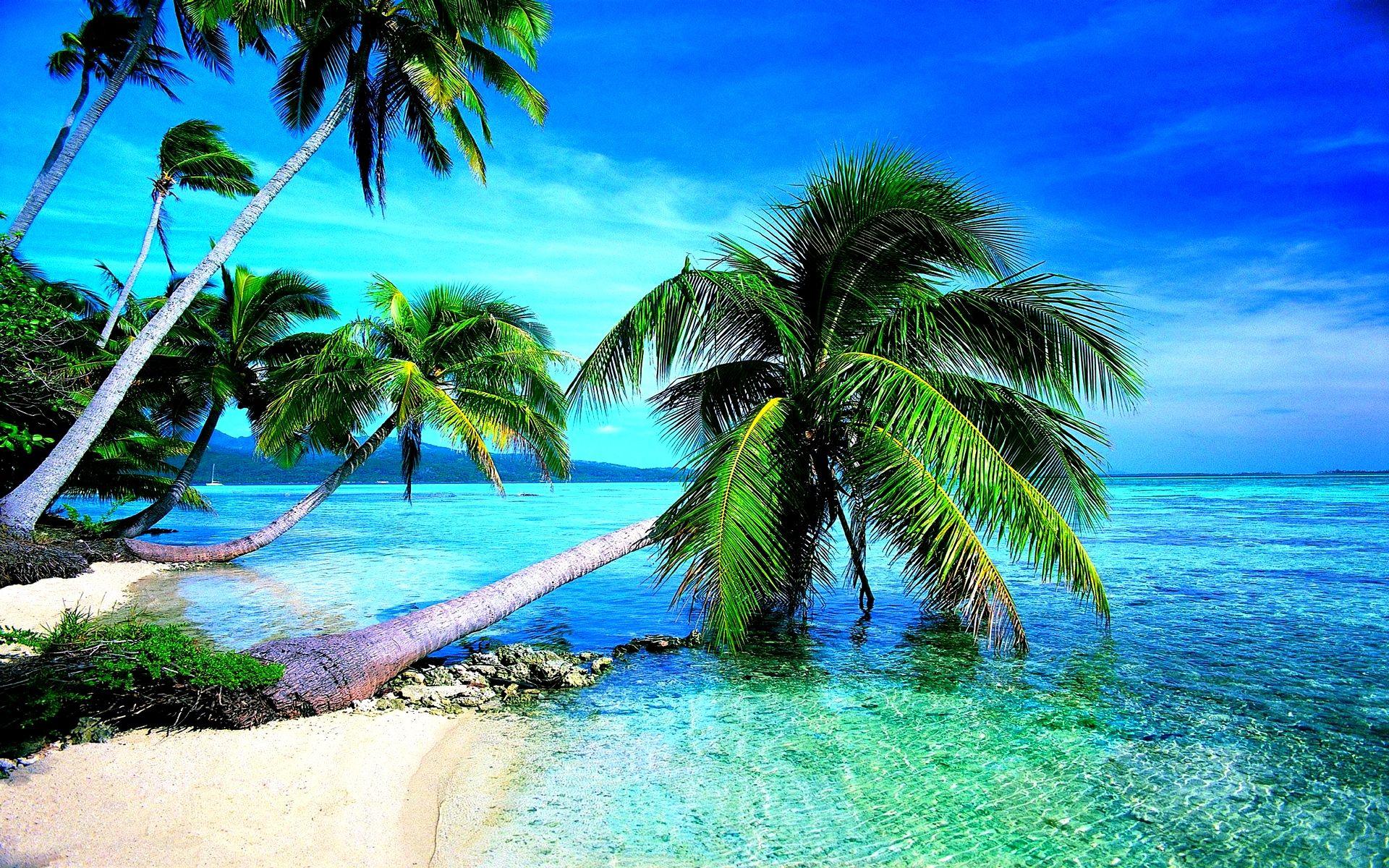 Island Beach Wallpapers