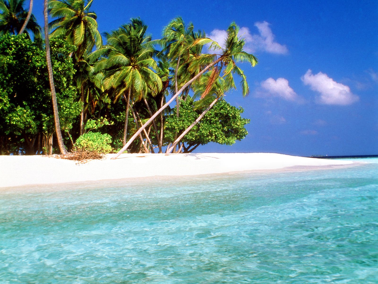 Island Beach Wallpapers