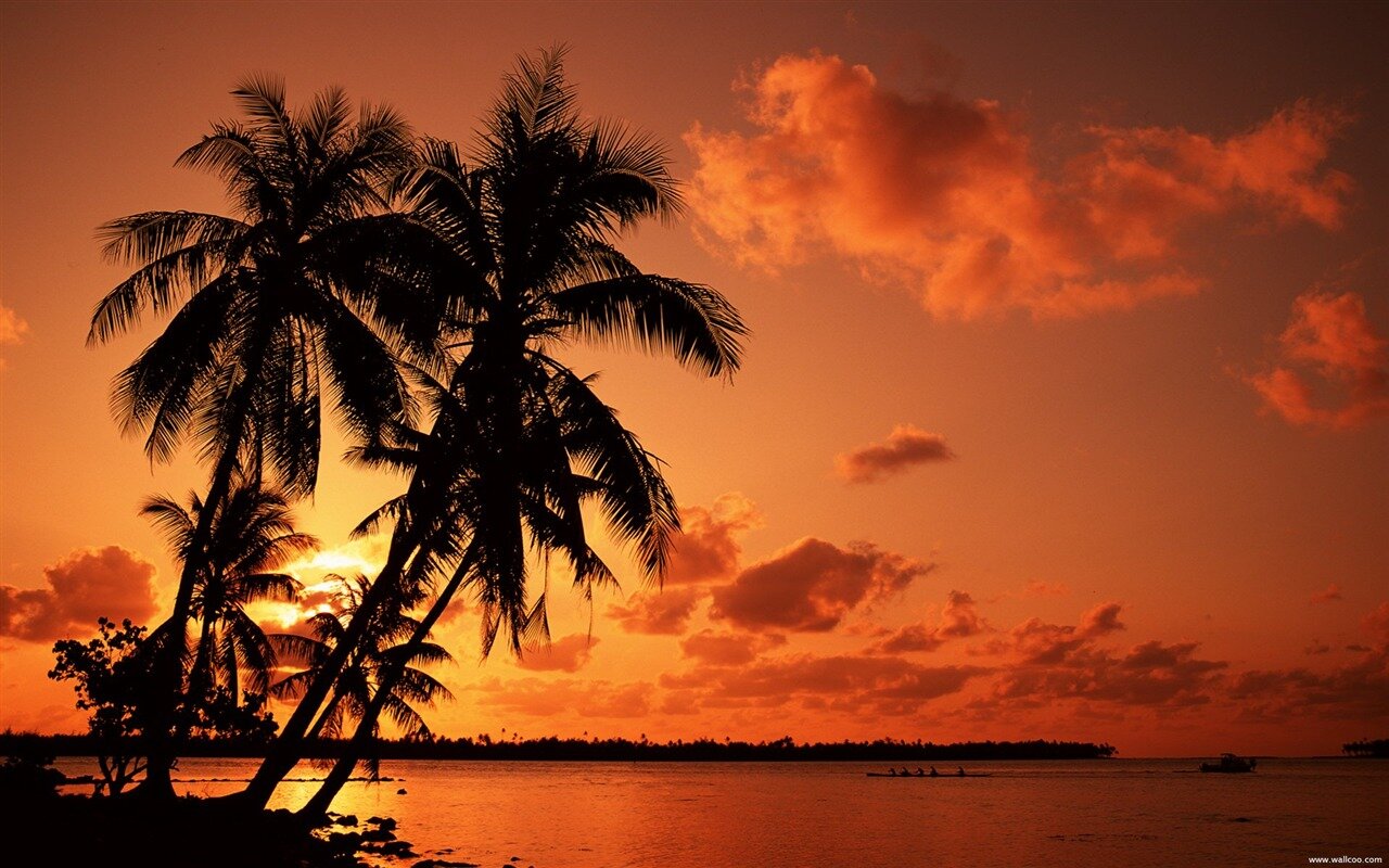 Island Sunset Wallpapers