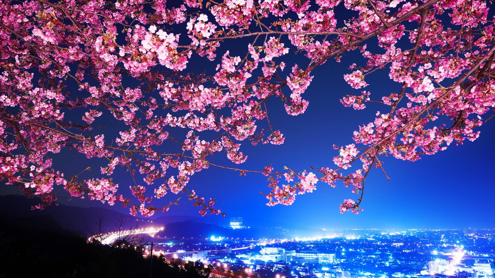 Japan At Night Wallpapers