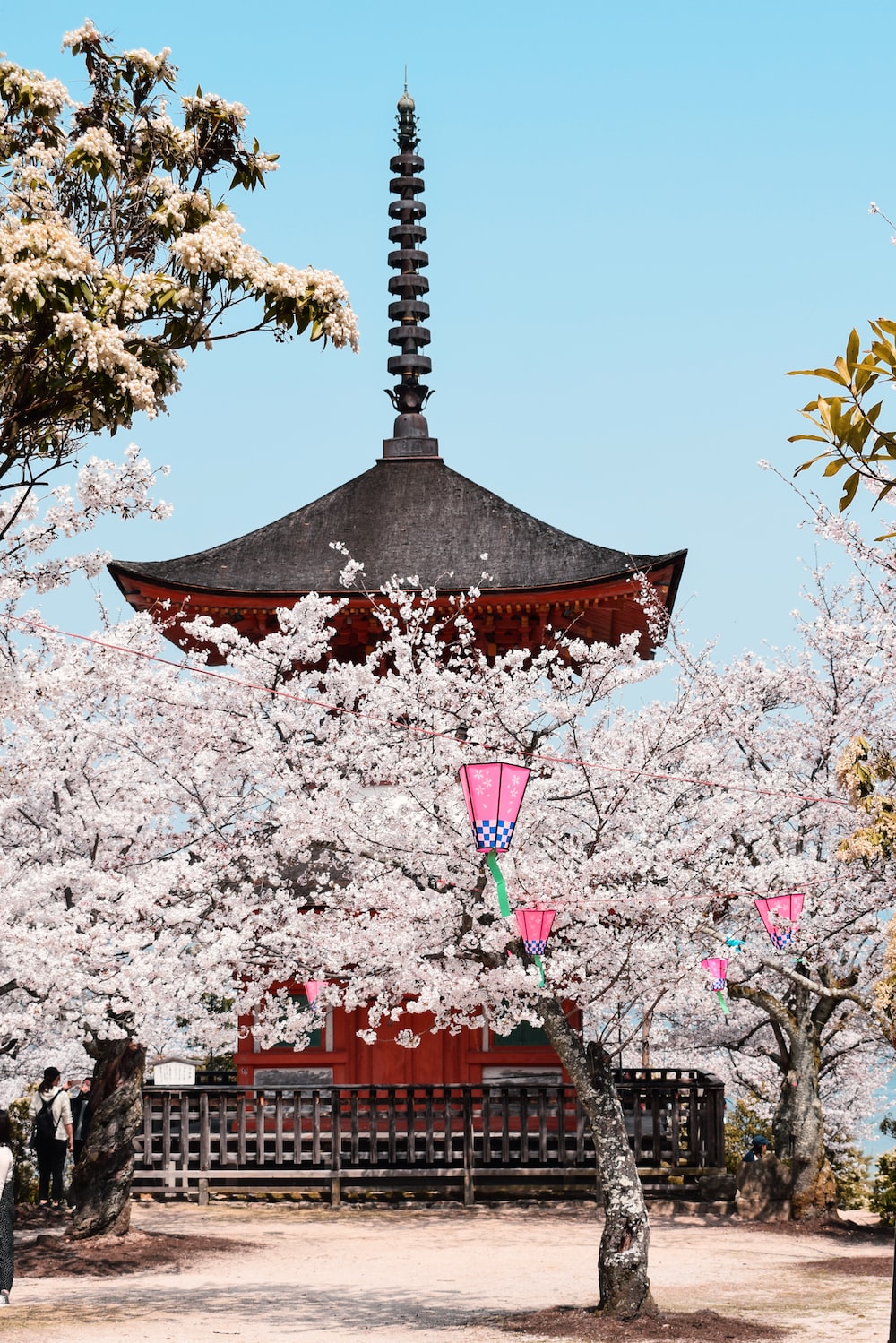 Japan Spring Wallpapers