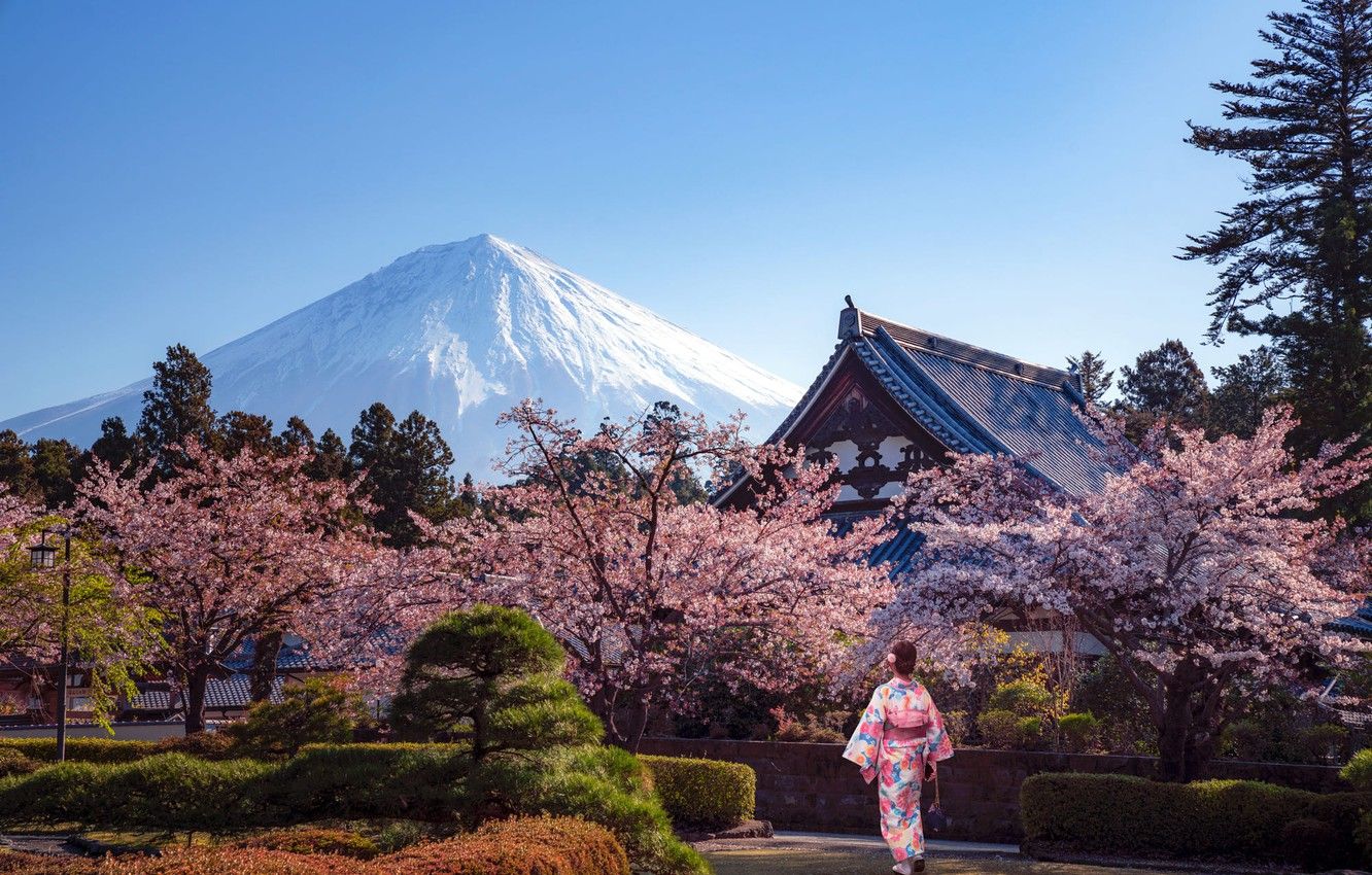 Japan Spring Wallpapers