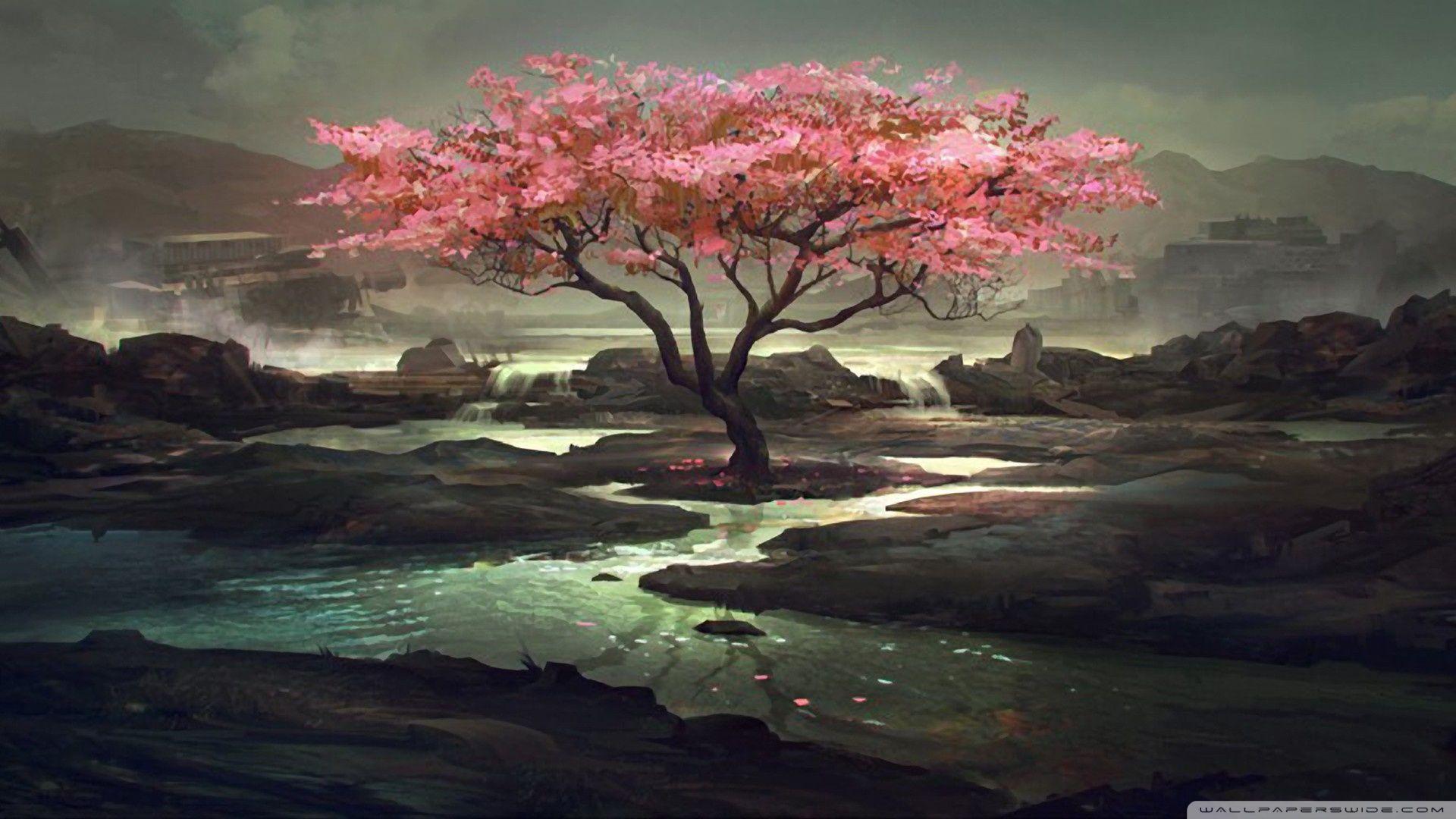 Japanese Cherry Blossom Painting Wallpapers