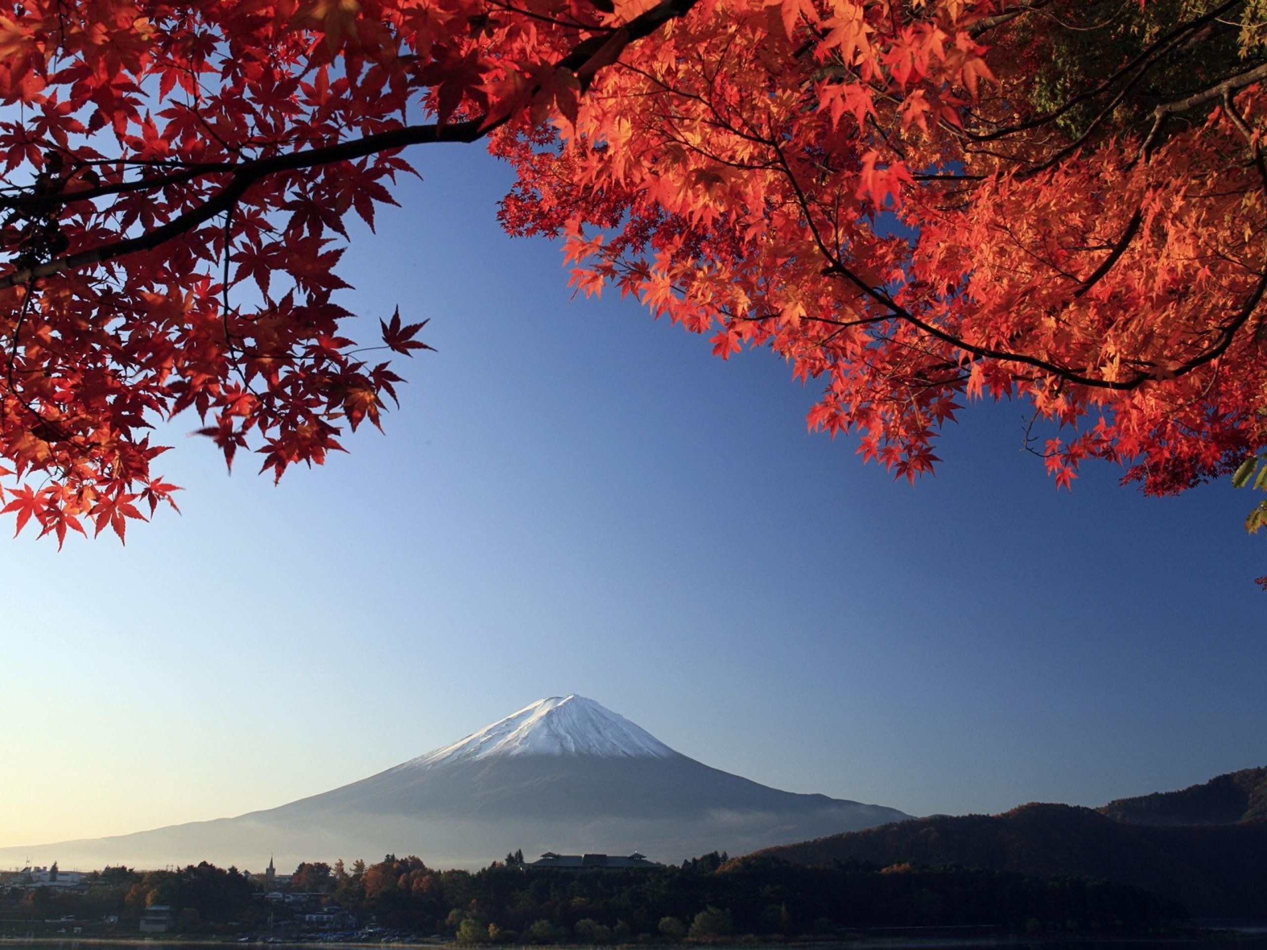 Japanese Landscape Wallpapers