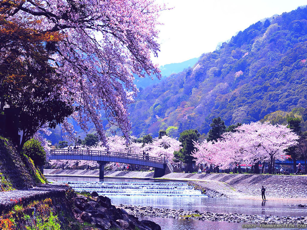 Japanese Landscape Wallpapers