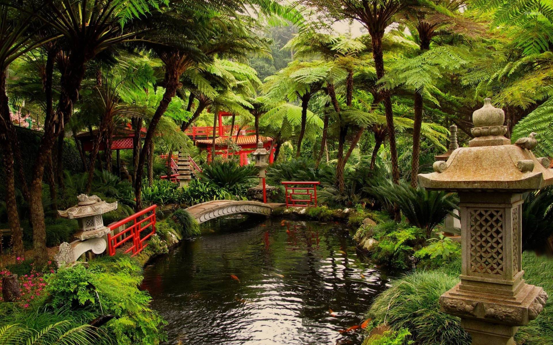 Japanese Landscaping Pictures Wallpapers