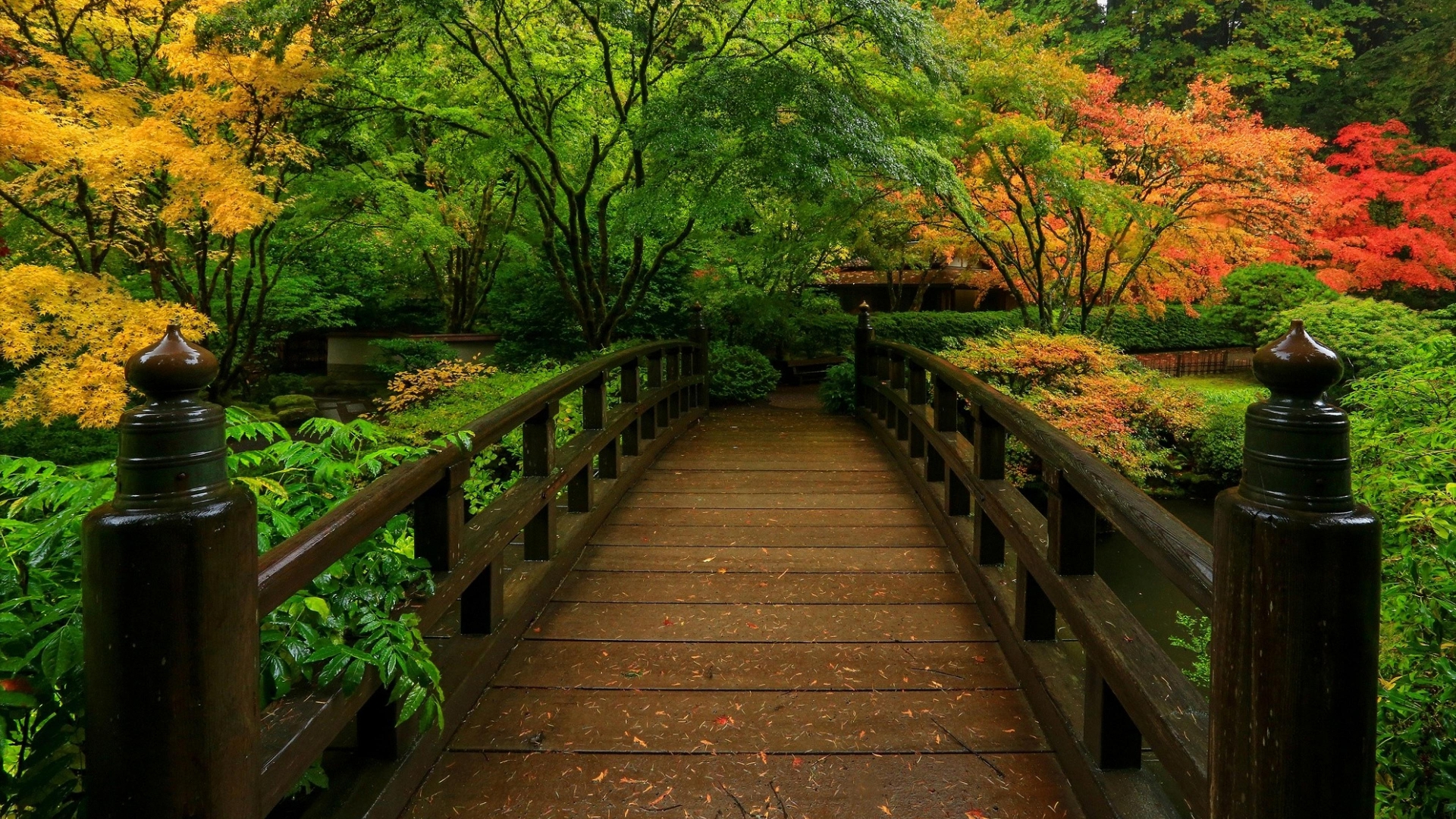 Japanese Landscaping Pictures Wallpapers