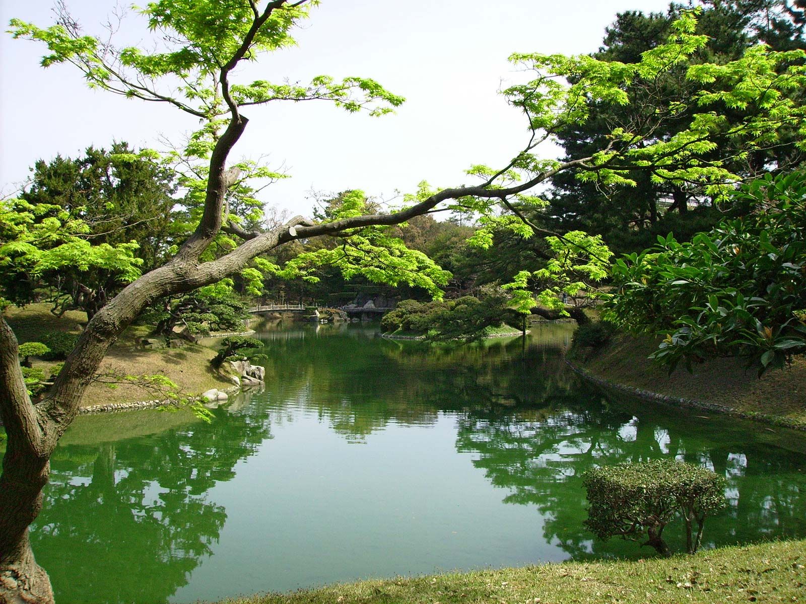 Japanese Landscaping Pictures Wallpapers