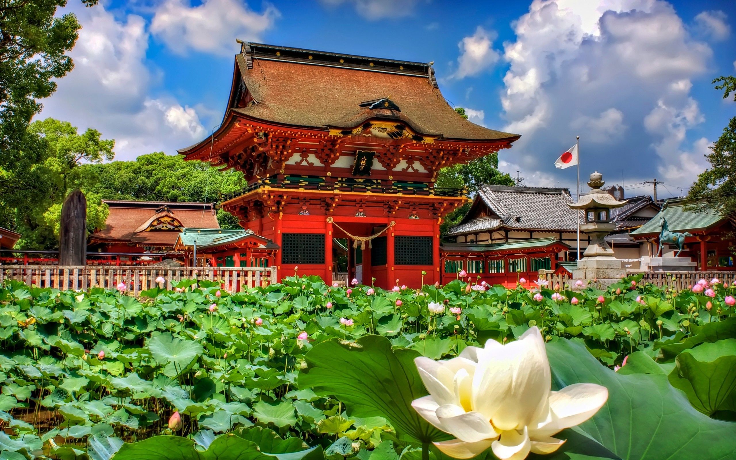 Japanese Lotus Art Wallpapers