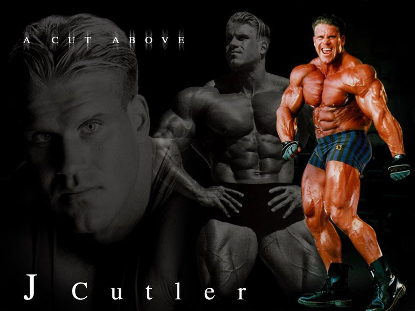 Jay Culter Wallpapers