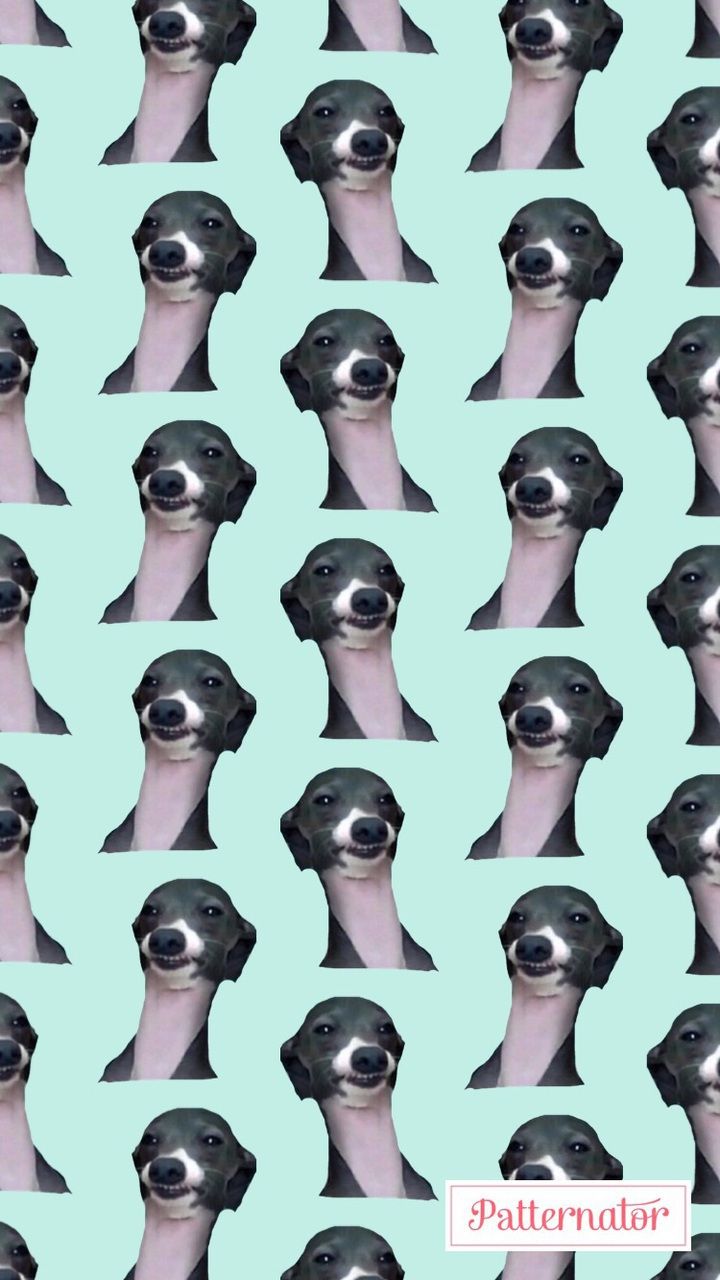 Jenna Marbles Wallpapers