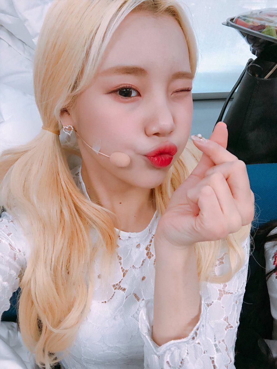 Jooe Momoland Wallpapers