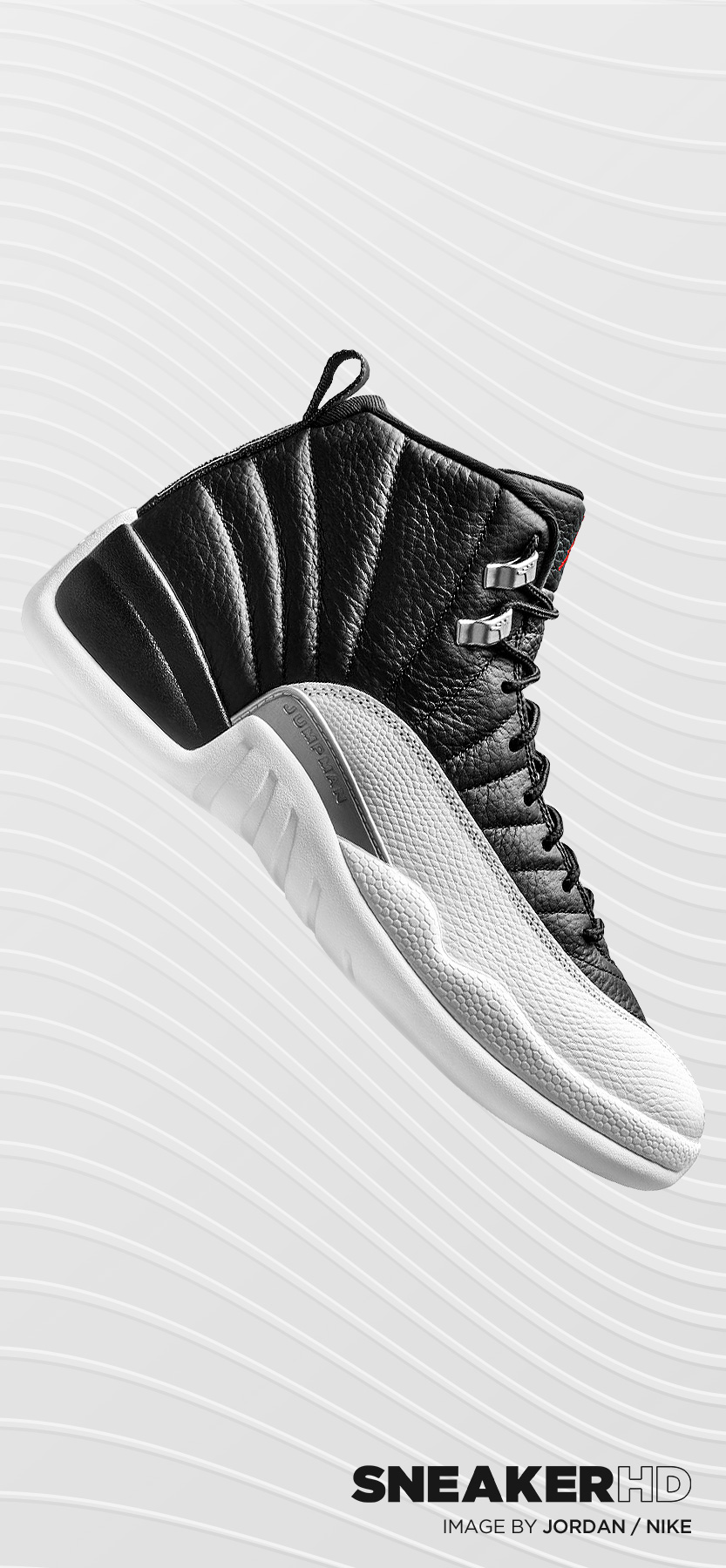 Jordan 12 Wallpapers