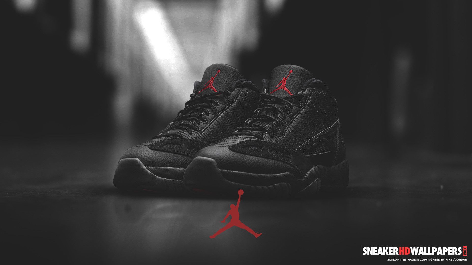 Jordan 12 Wallpapers