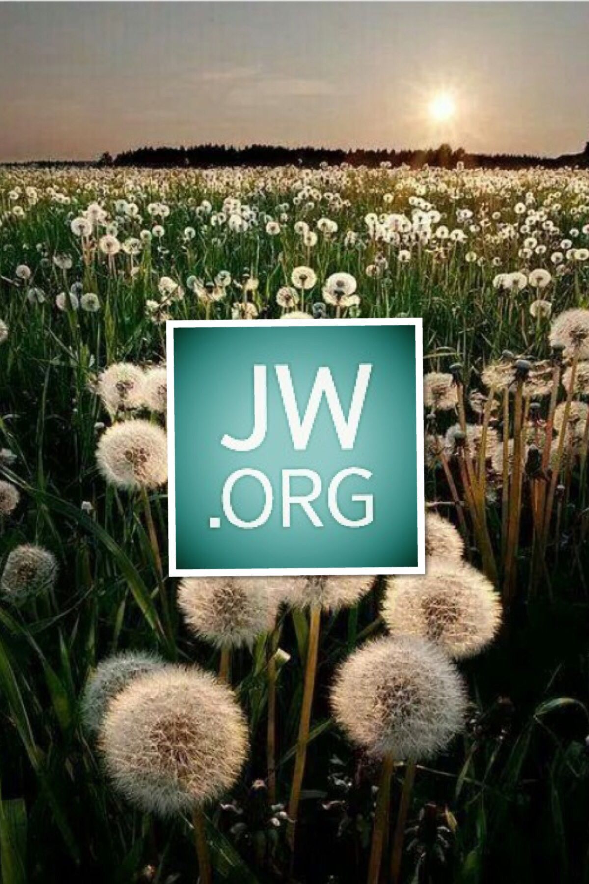 Jw Org Wallpapers