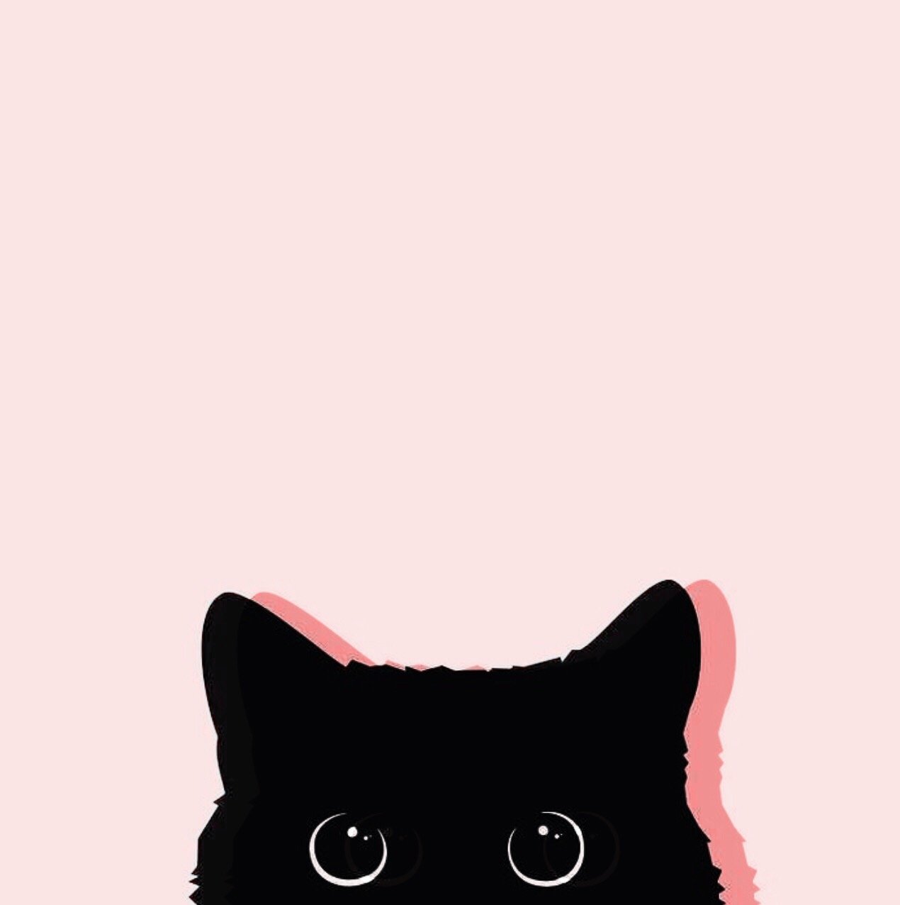 Kawaii Cat Tumblr Wallpapers