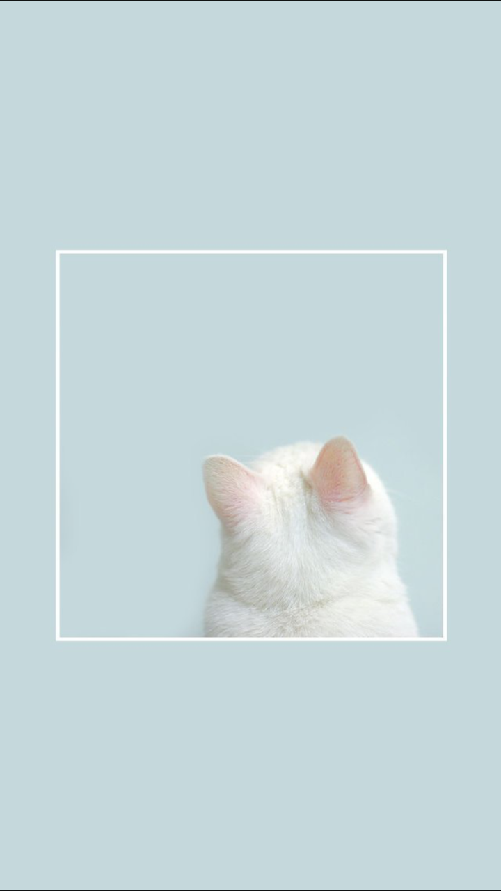 Kawaii Cat Tumblr Wallpapers