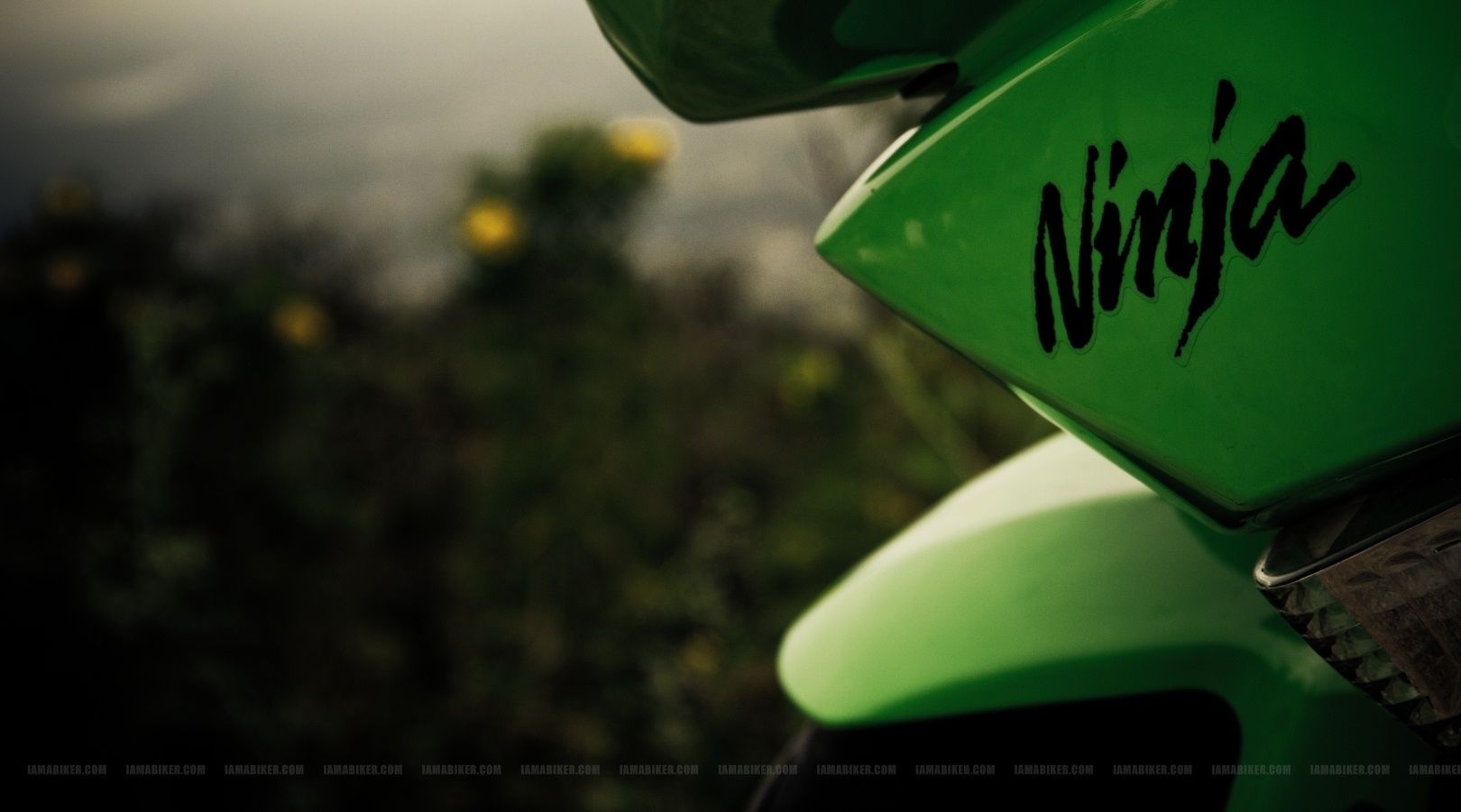 Kawasaki Ninja Logos Wallpapers