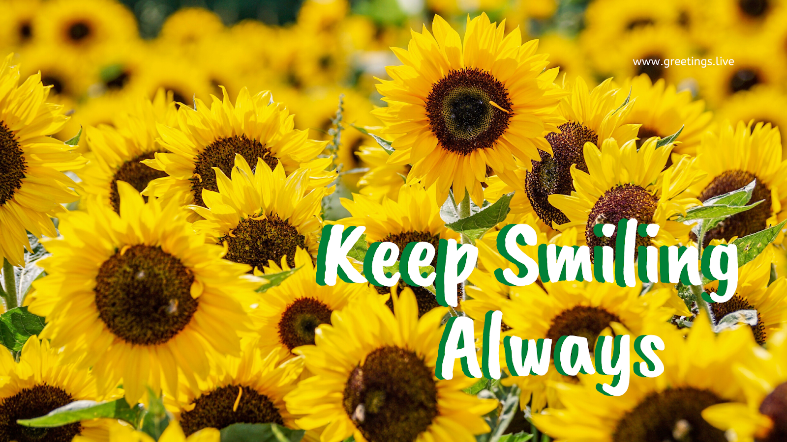 Keep Smiling Wallpapers