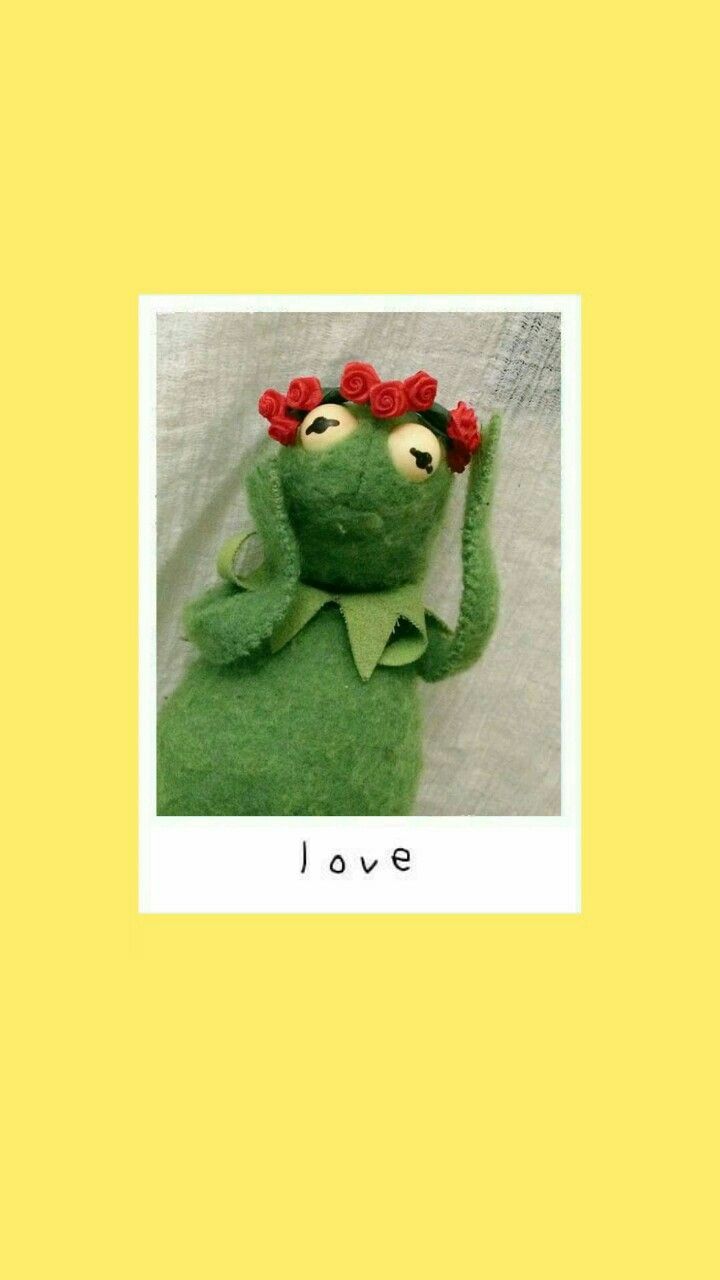 Kermit Meme Wallpapers