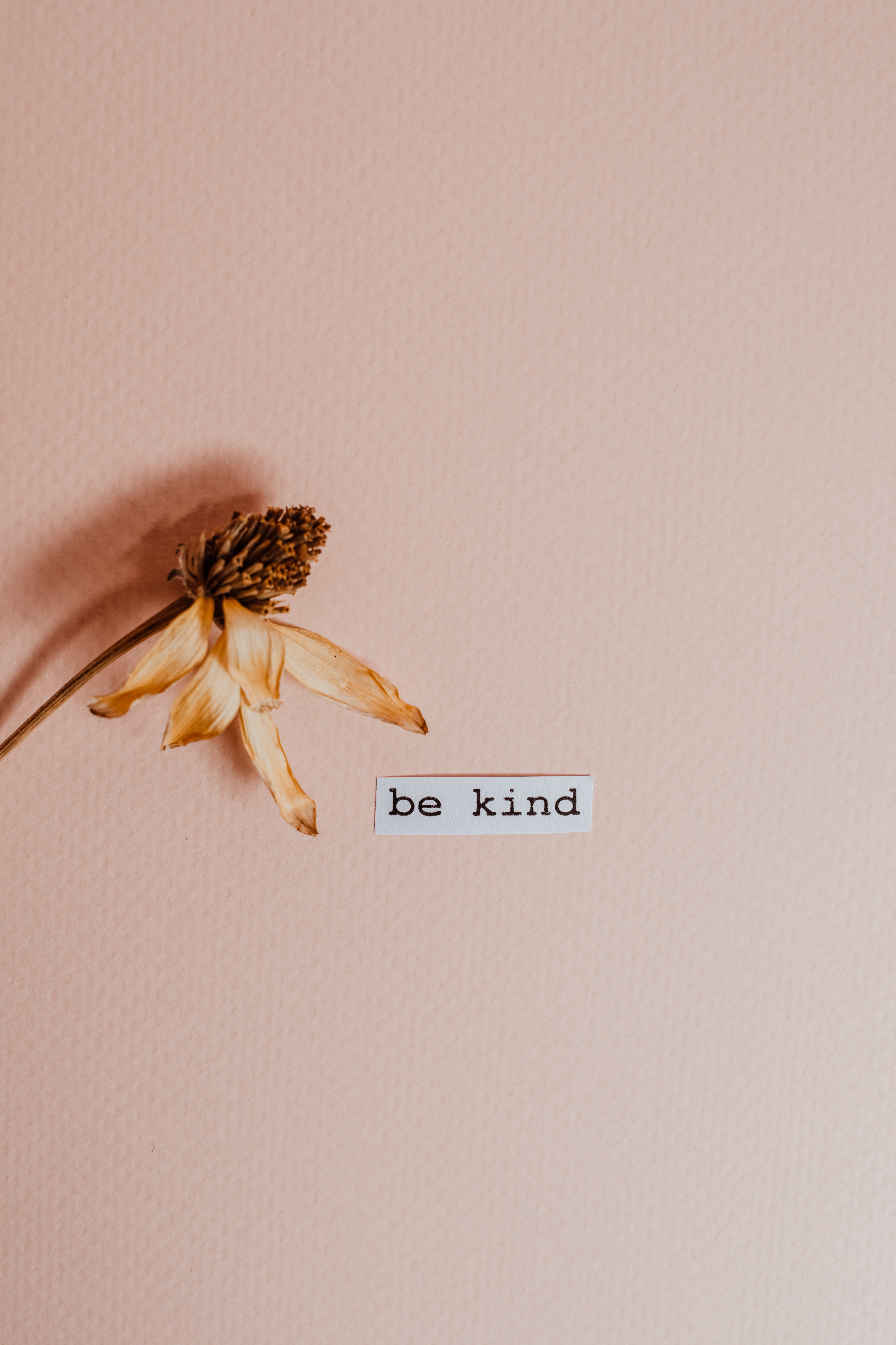 Kindness Wallpapers