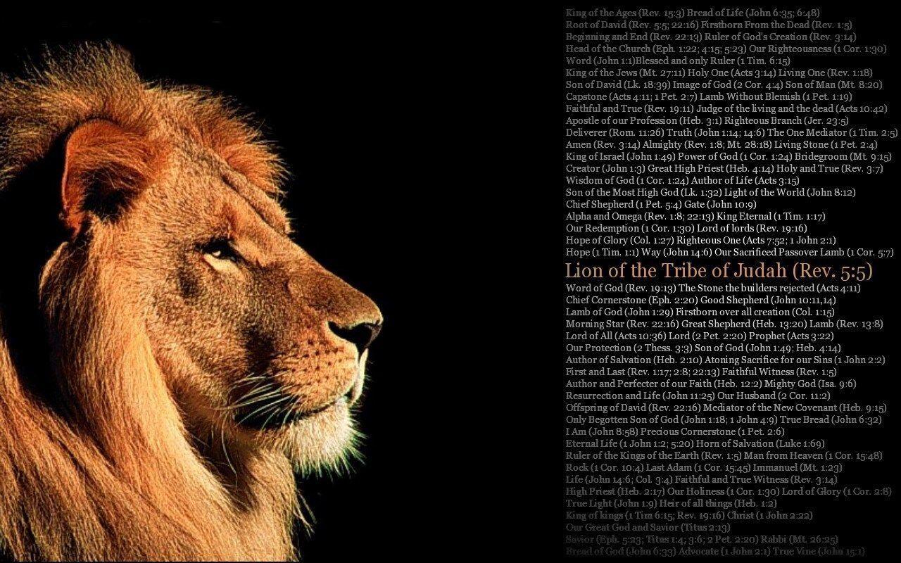 King Jesus Lion Wallpapers