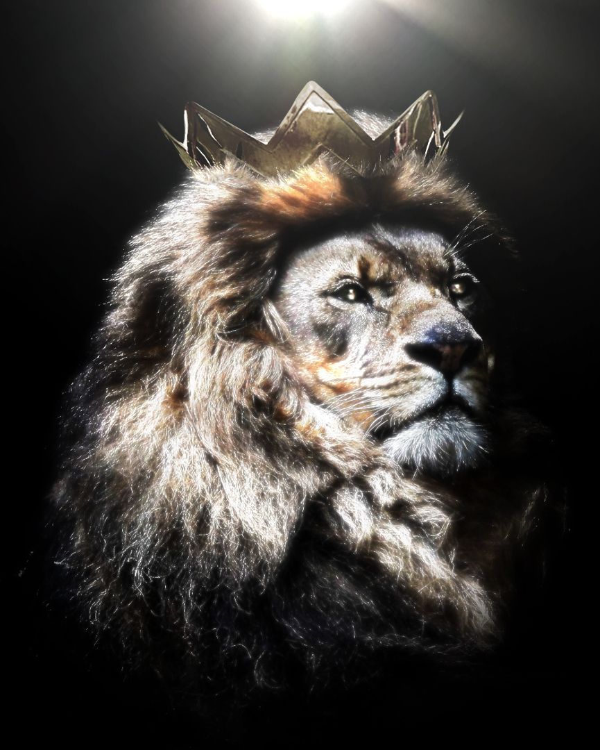 King Jesus Lion Wallpapers