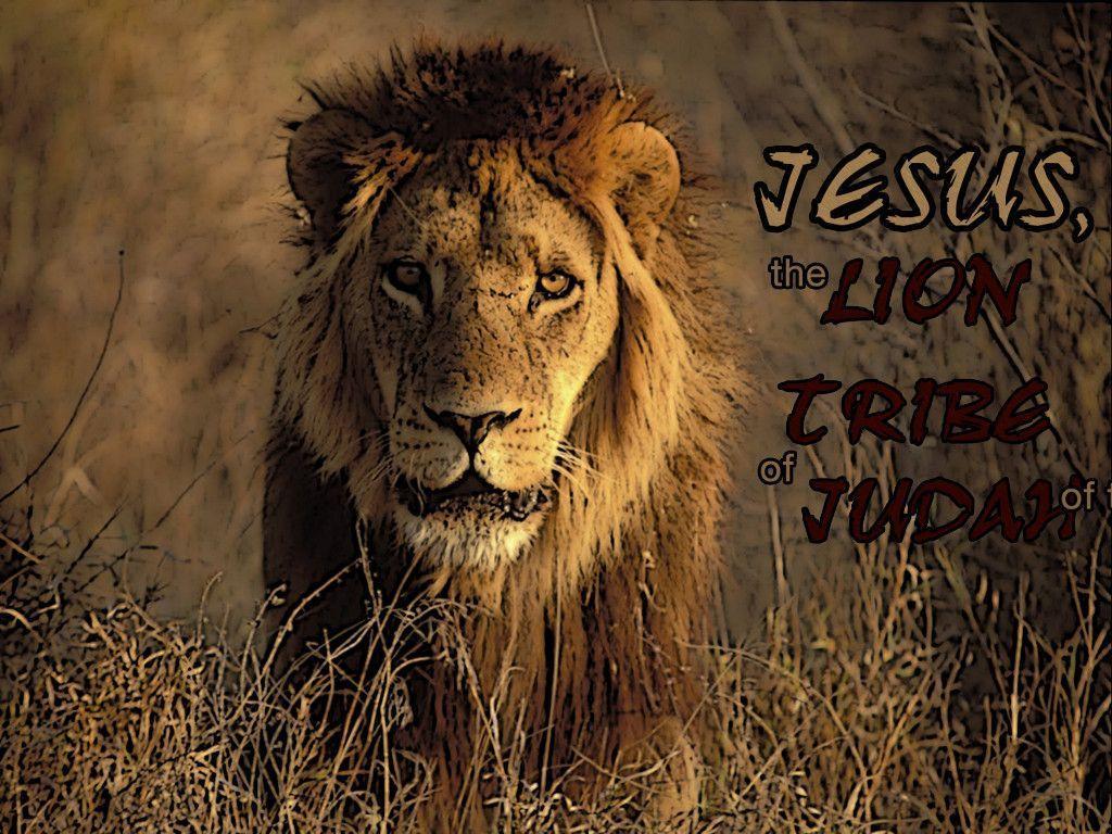 King Jesus Lion Wallpapers