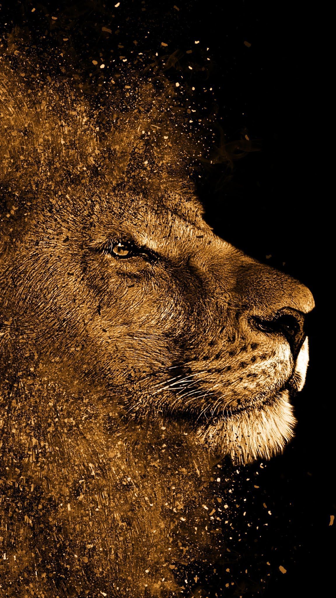 King Jesus Lion Wallpapers