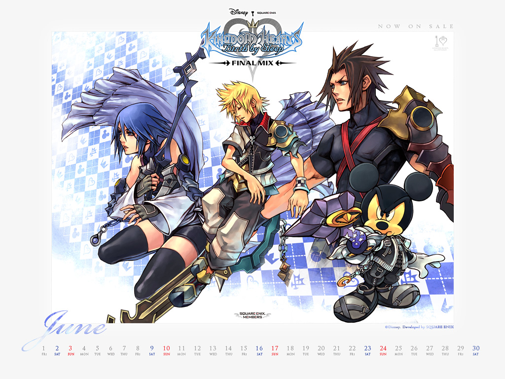 Kingdom Hearts Birth By Sleep Wallpapers