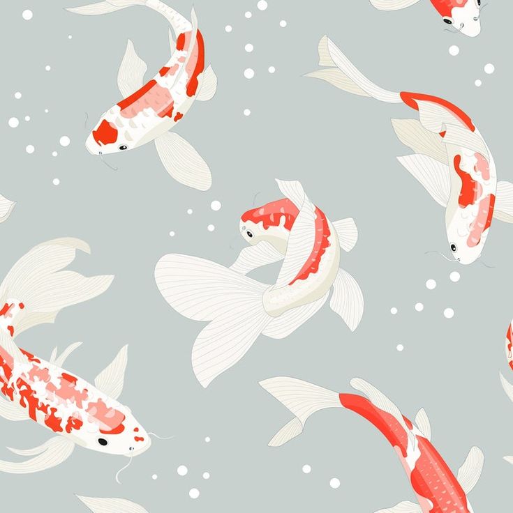 Koi Fish Painting Wallpapers