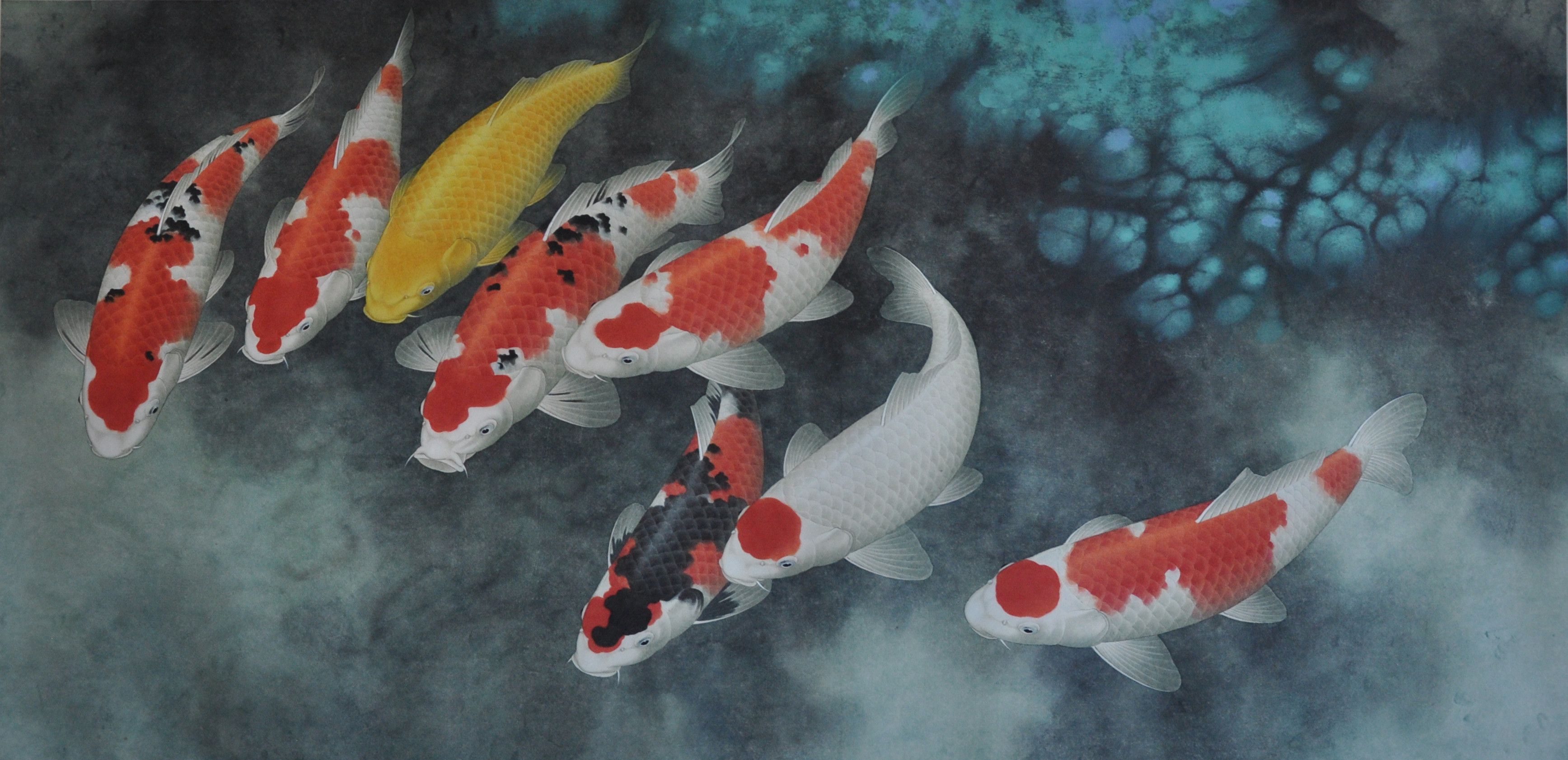 Koi Fish Painting Wallpapers