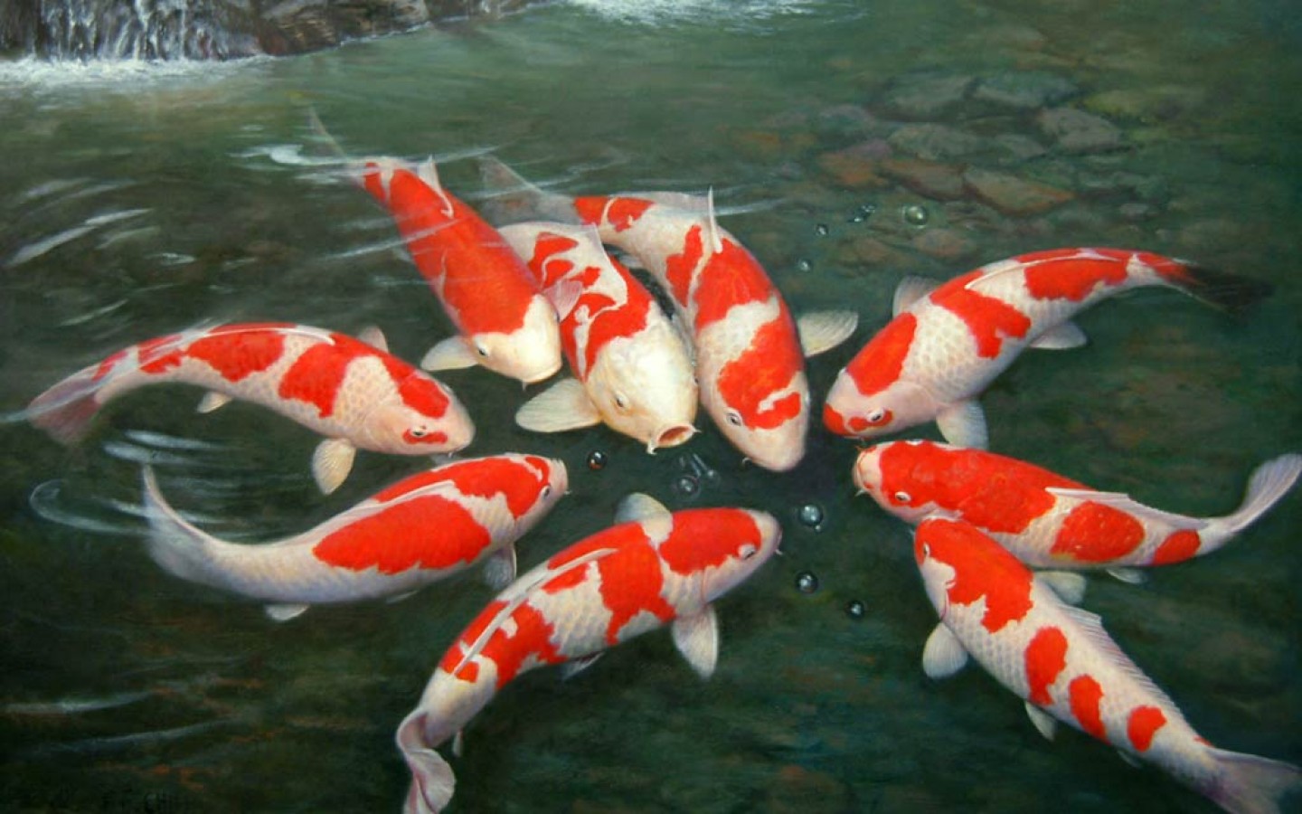 Koi Fish Painting Wallpapers