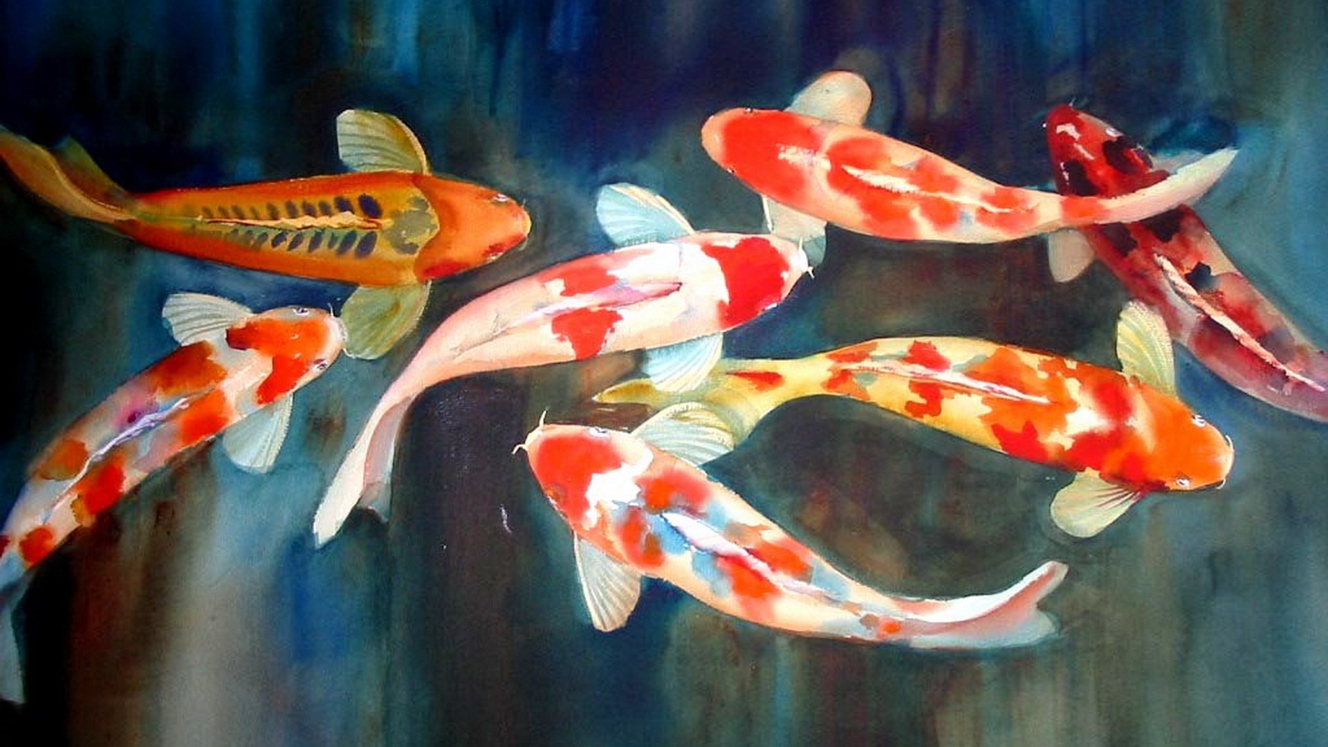 Koi Fish Painting Wallpapers