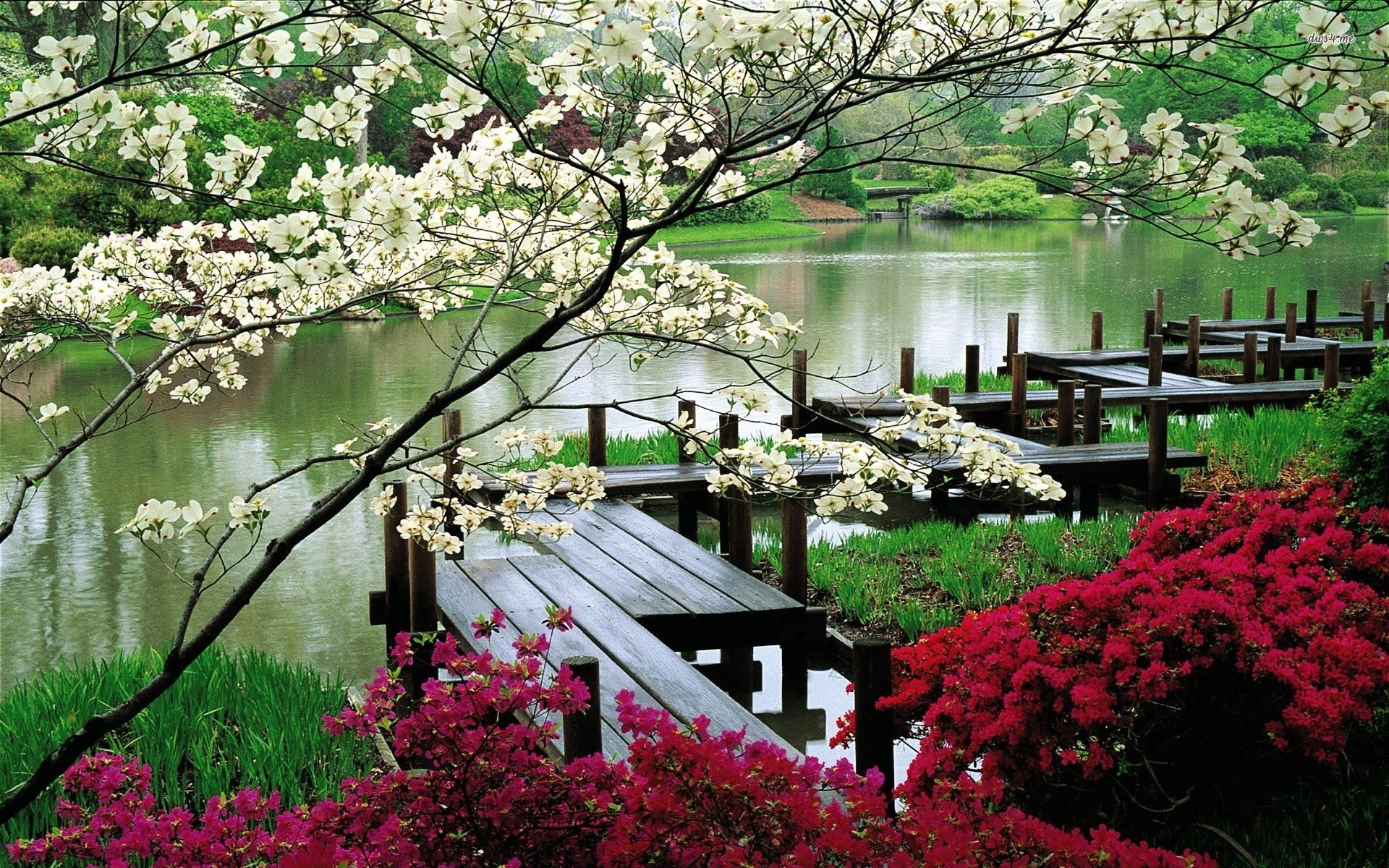 Korean Garden Wallpapers