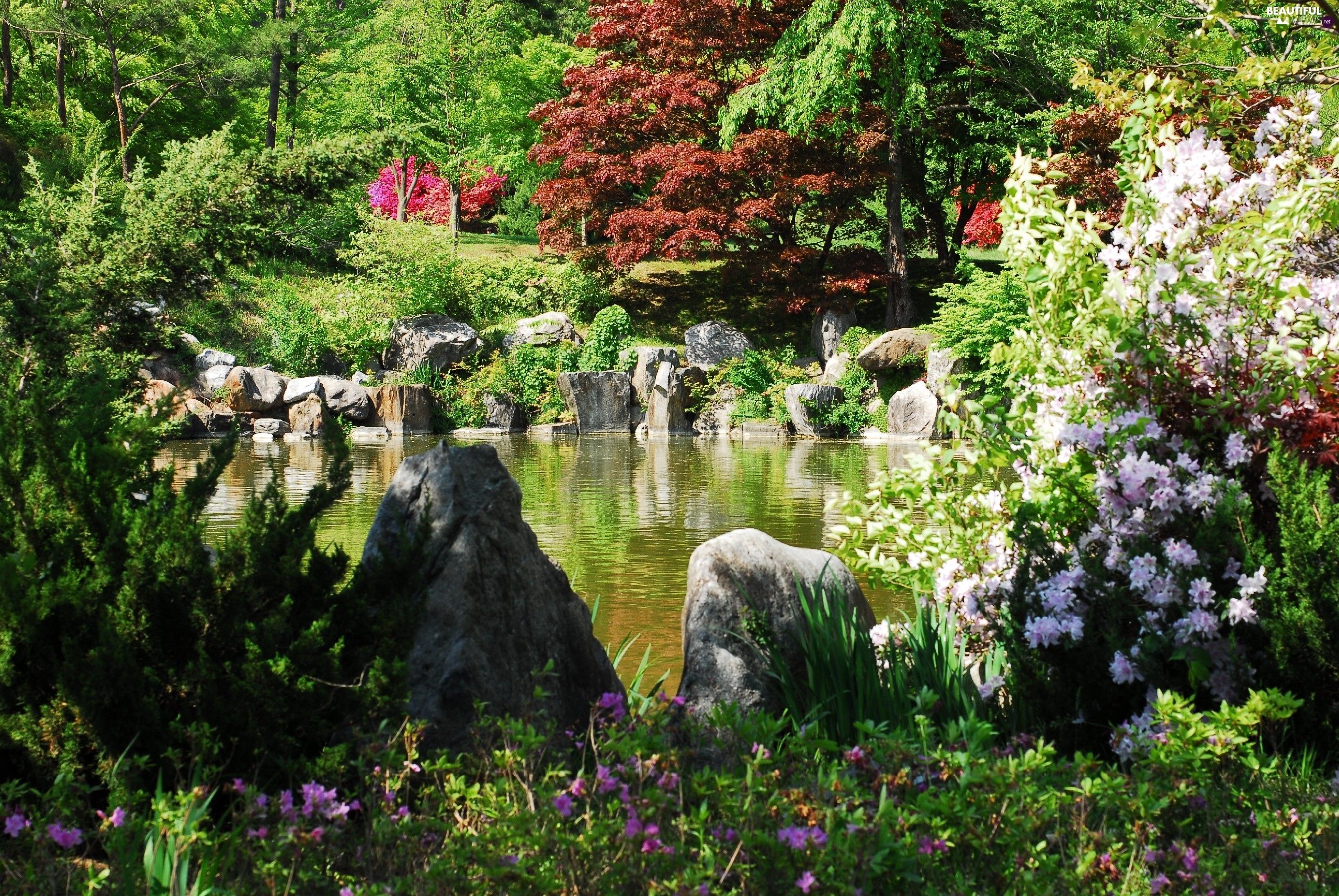 Korean Garden Wallpapers