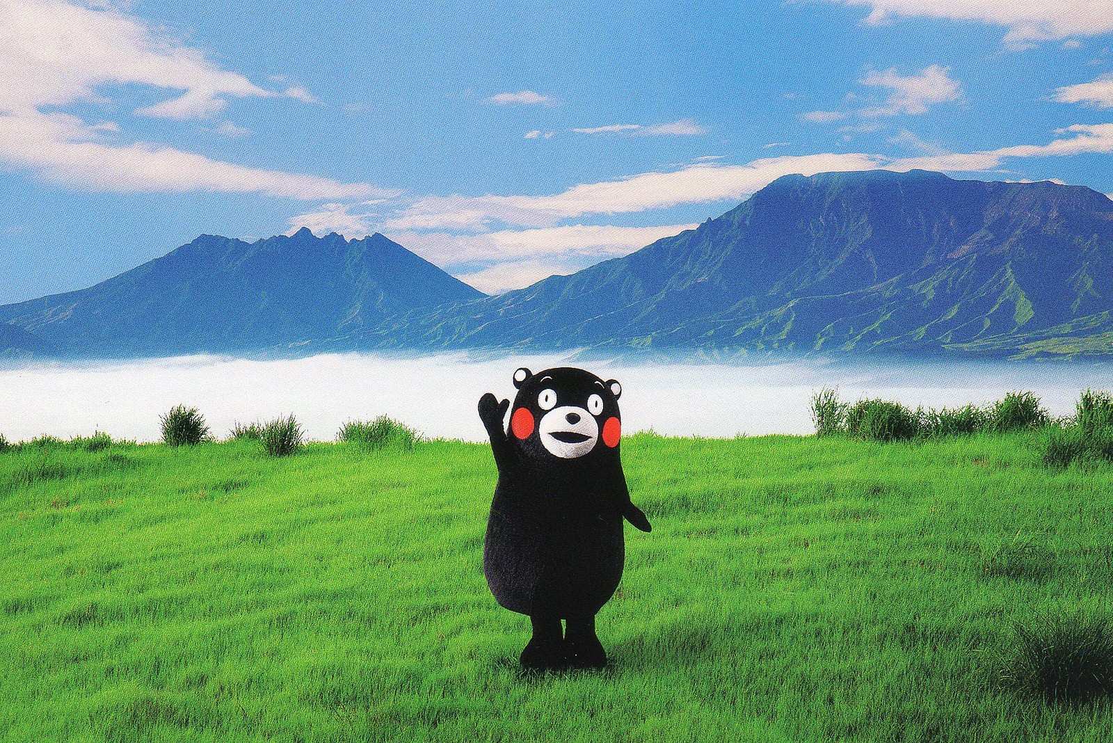 Kumamon Wallpapers