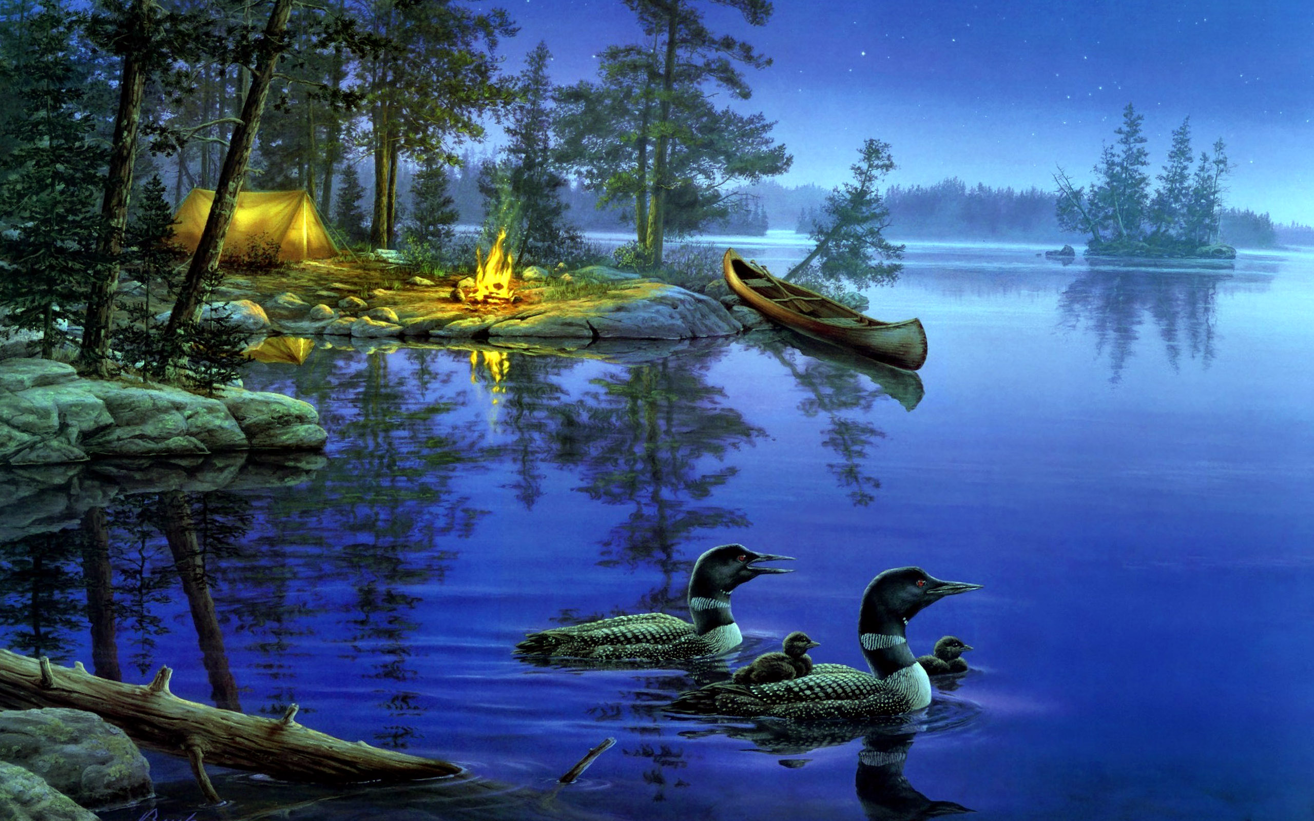 Lake At Night Wallpapers