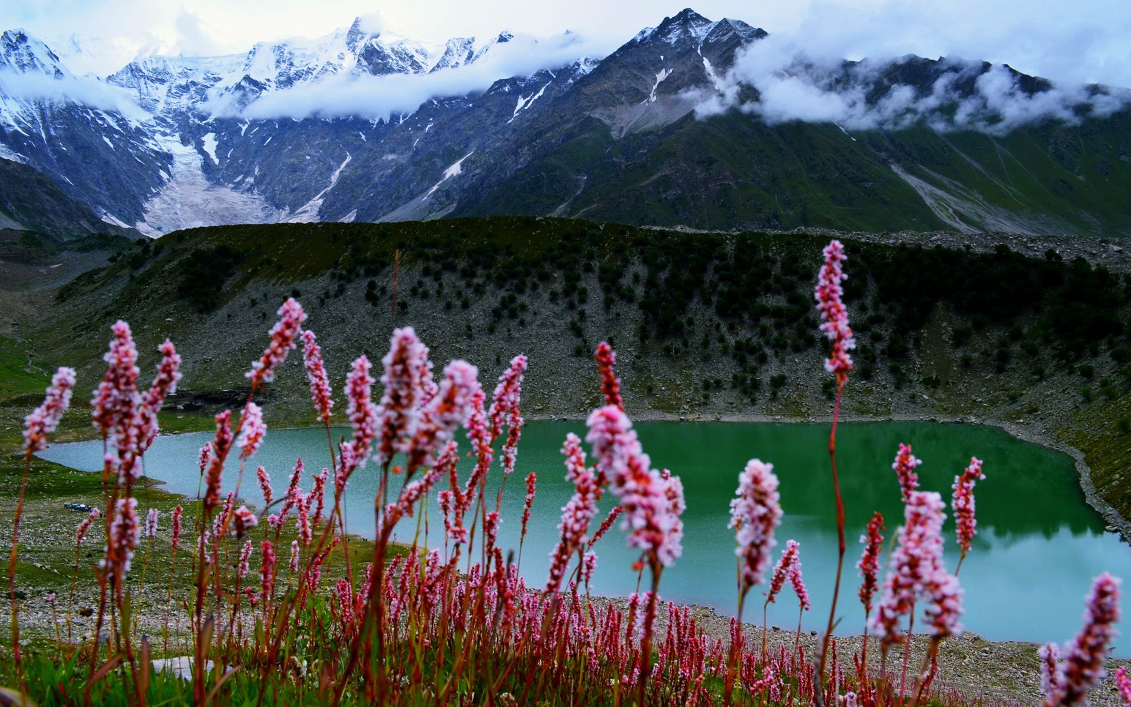 Lake Flower Wallpapers