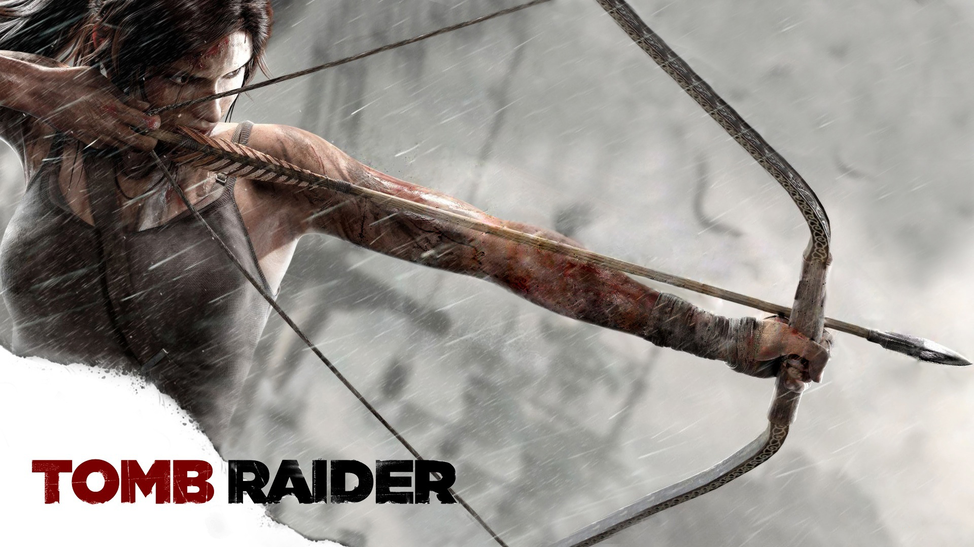 Lara Croft 2013 Wallpapers