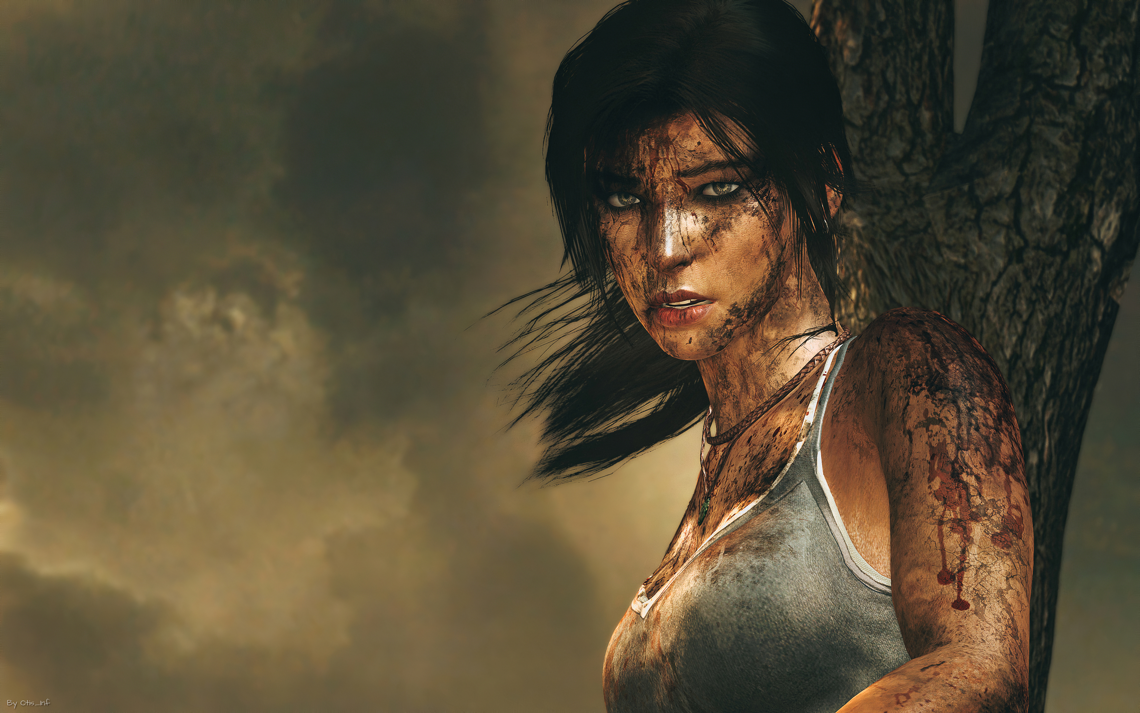 Lara Croft 2013 Wallpapers