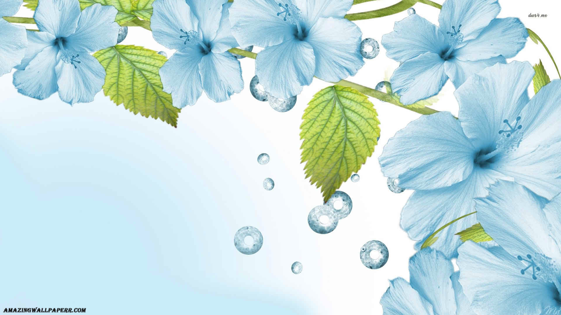 Light Blue Flower Wallpapers