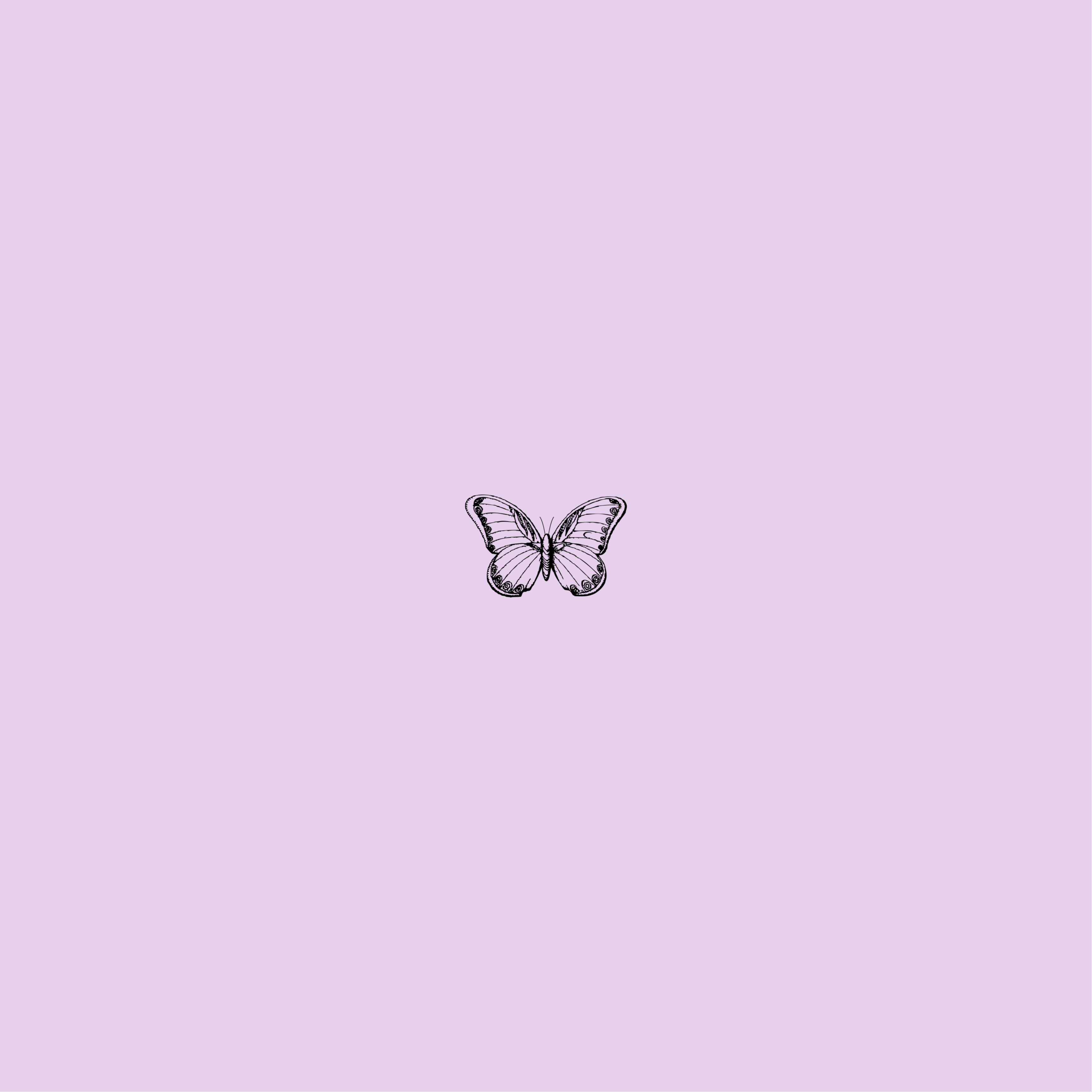 Light Purple Butterfly Wallpapers