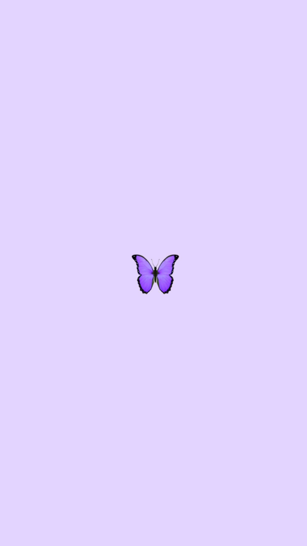 Light Purple Butterfly Wallpapers