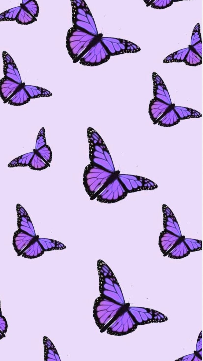 Light Purple Butterfly Wallpapers