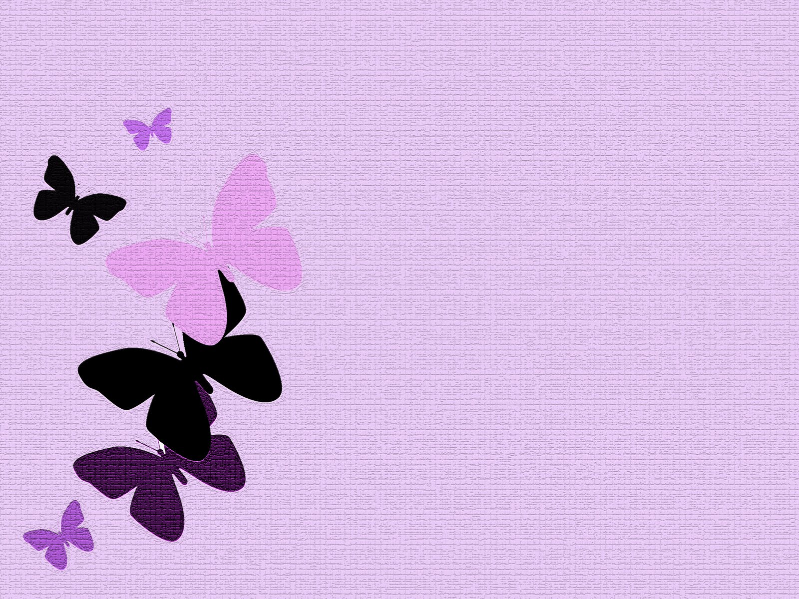 Light Purple Butterfly Wallpapers