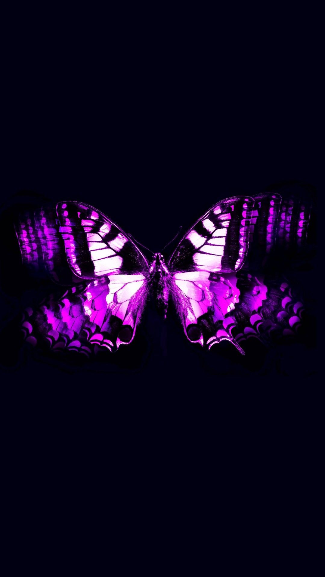 Light Purple Butterfly Wallpapers