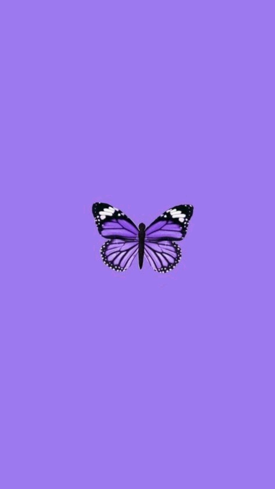 Light Purple Butterfly Wallpapers